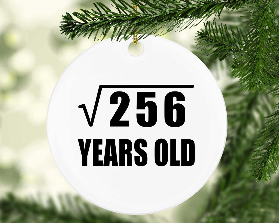 16th Birthday Square Root of 256 Years Old - Circle Ornament