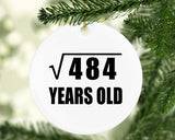 22nd Birthday Square Root of 484 Years Old - Circle Ornament