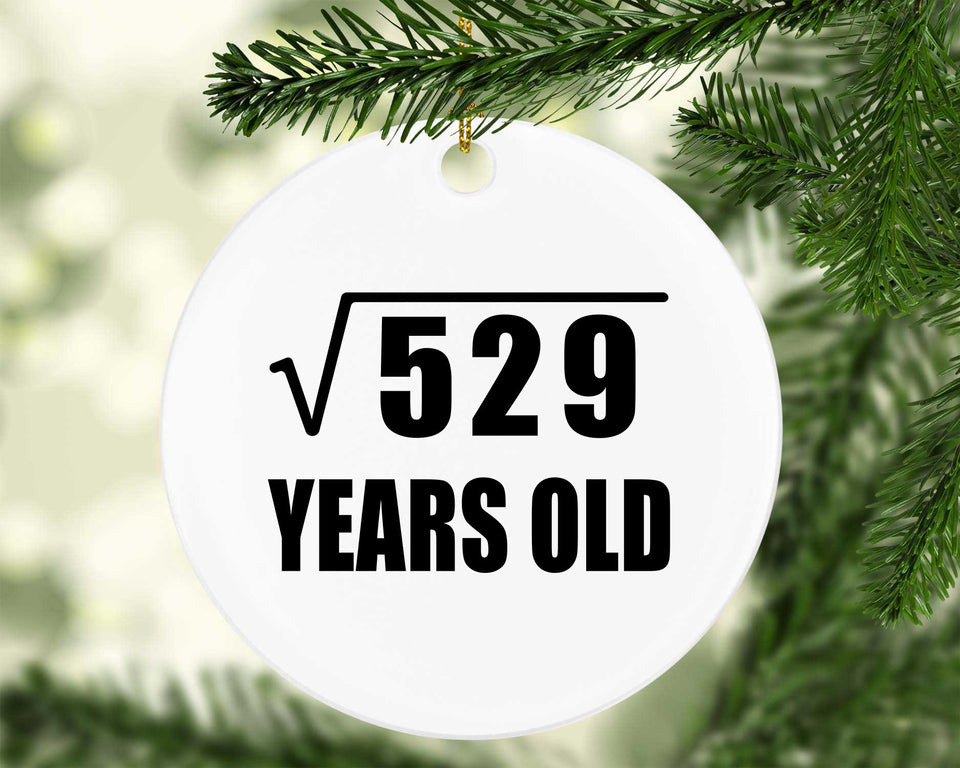 23rd Birthday Square Root of 529 Years Old - Circle Ornament