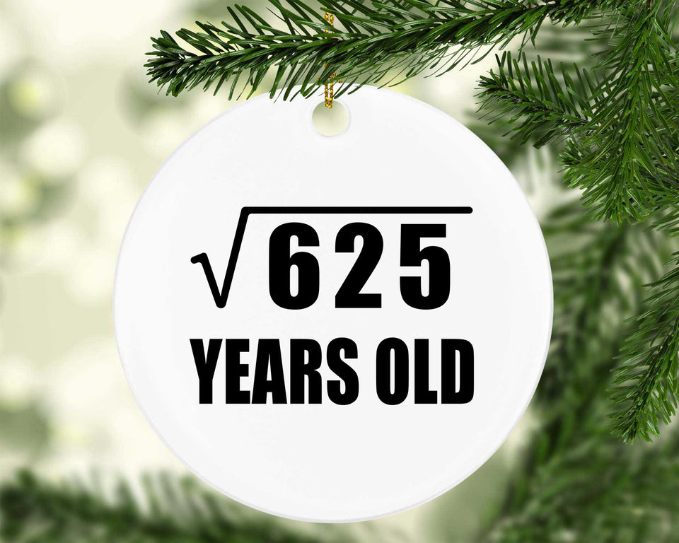 25th Birthday Square Root of 625 Years Old - Circle Ornament