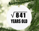 29th Birthday Square Root of 841 Years Old - Circle Ornament