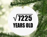 85th Birthday Square Root of 7225 Years Old - Circle Ornament