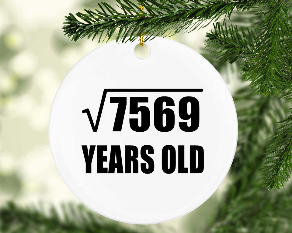 87th Birthday Square Root of 7569 Years Old - Circle Ornament