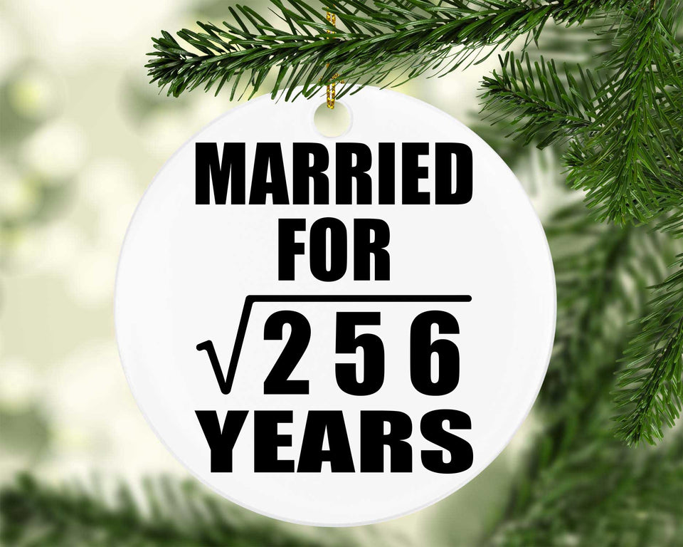 16th Anniversary Married For Square Root of 256 Years - Circle Ornament