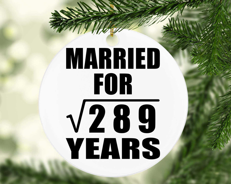 17th Anniversary Married For Square Root of 289 Years - Circle Ornament