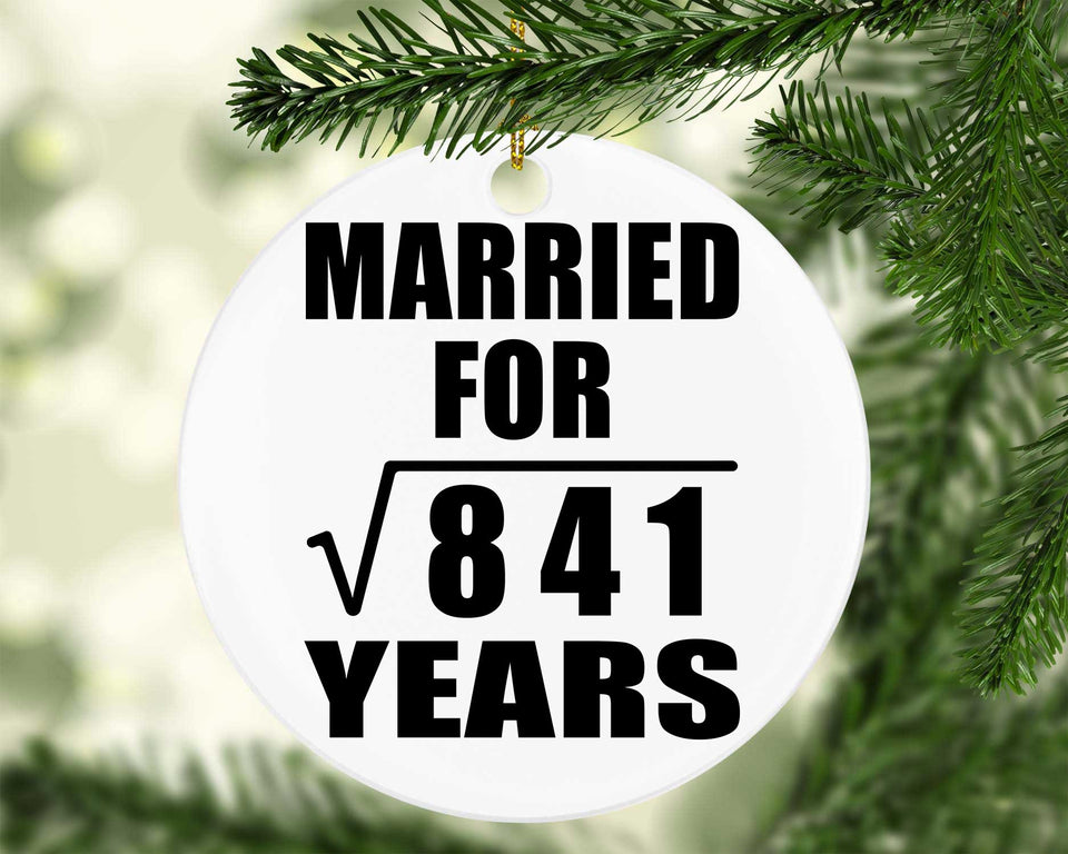 29th Anniversary Married For Square Root of 841 Years - Circle Ornament