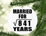 29th Anniversary Married For Square Root of 841 Years - Circle Ornament