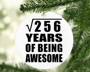 16th Birthday Square Root of 256 Years of Being Awesome - Circle Ornament