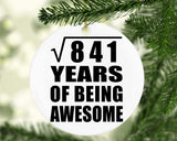 29th Birthday Square Root of 841 Years of Being Awesome - Circle Ornament