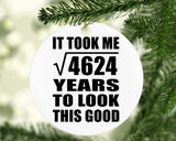 68th Birthday Took Square Root of 4624 Years To Look Good - Circle Ornament