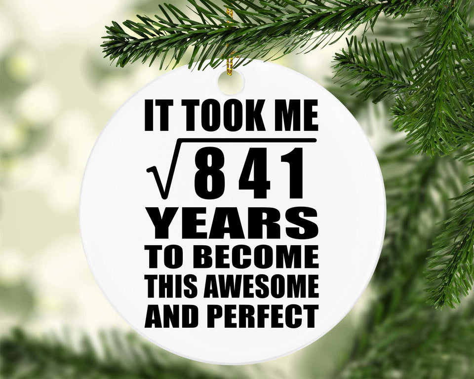 29th Birthday Took Square Root of 841 Years To Awesome - Circle Ornament