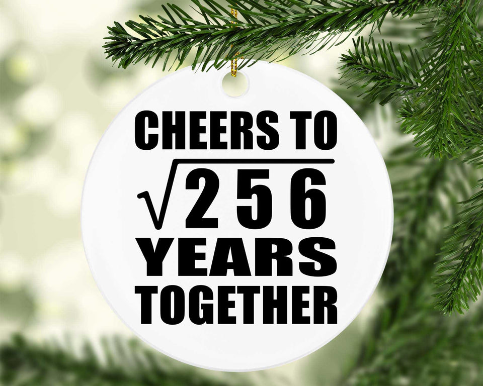 16th Anniversary Cheers To Square Root of 256 Years Together - Circle Ornament