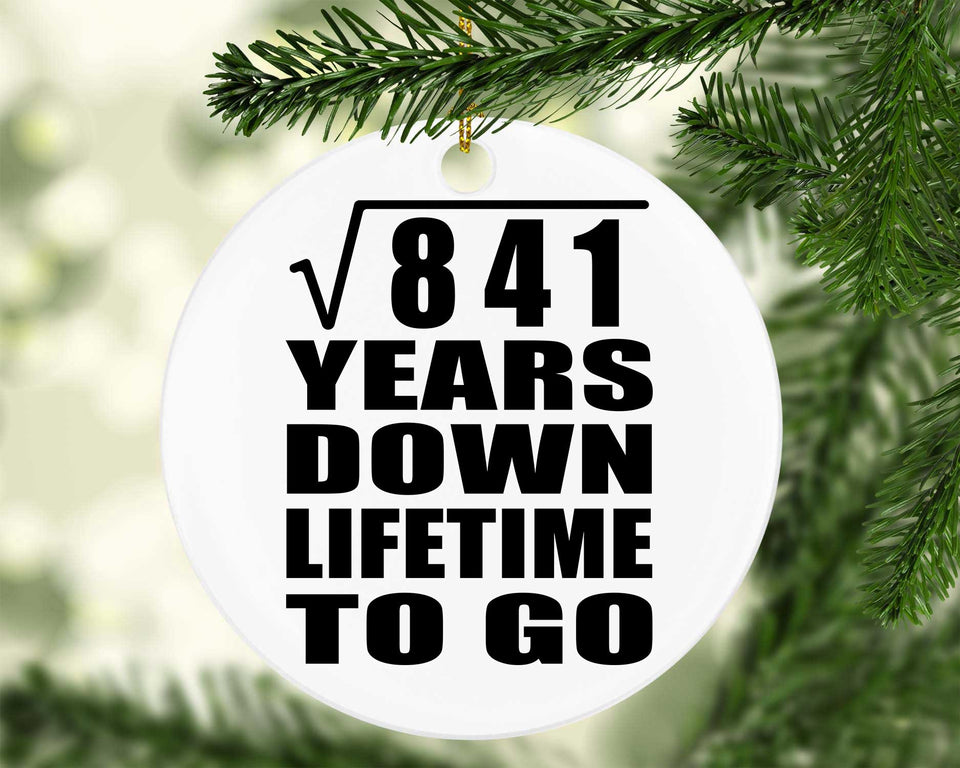 29th Anniversary Square Root of 841 Years Lifetime To Go - Circle Ornament
