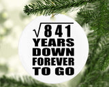 29th Anniversary Square Root of 841 Years Down Forever To Go - Circle Ornament