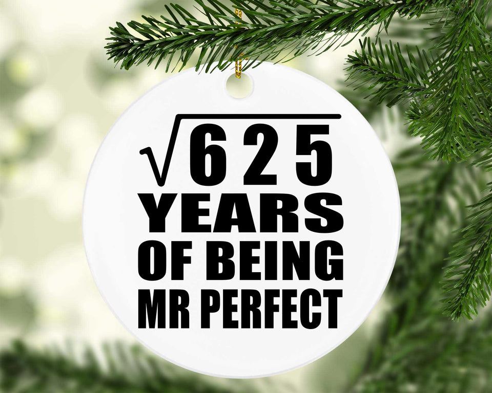 25th Anniversary Square Root of 625 Years of Mr Perfect - Circle Ornament