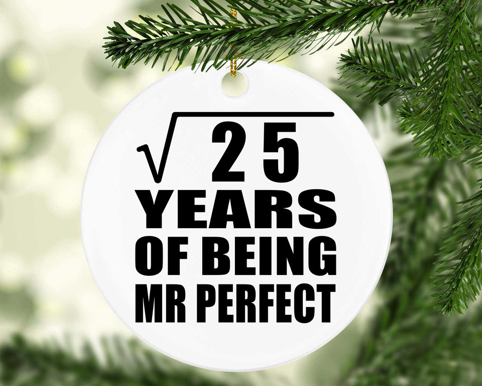 5th Anniversary Square Root of 25 Years of Mr Perfect - Circle Ornament