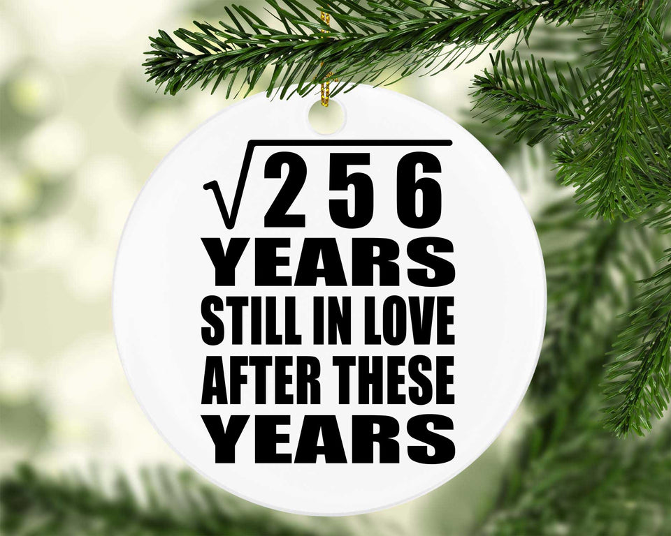 16th Anniversary Square Root of 256 Years Still In Love - Circle Ornament