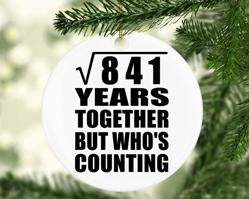 29th Anniversary Square Root of 841 Years Who's Counting - Circle Ornament