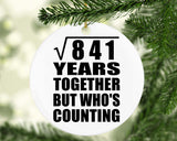 29th Anniversary Square Root of 841 Years Who's Counting - Circle Ornament