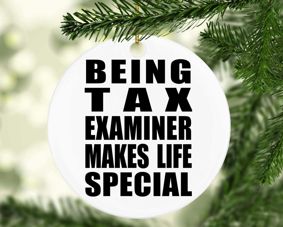 Being Tax Examiner Makes Life Special - Circle Ornament