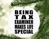 Being Tax Examiner Makes Life Special - Circle Ornament