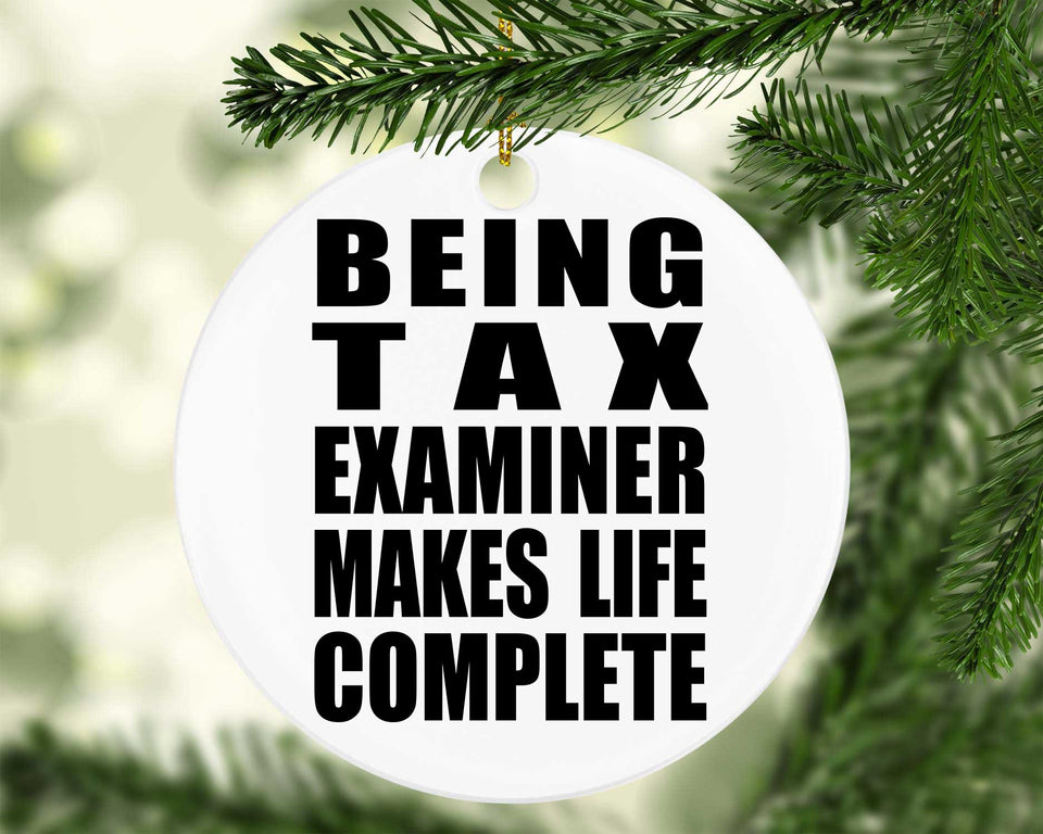 Being Tax Examiner Makes Life Complete - Circle Ornament