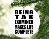 Being Tax Examiner Makes Life Complete - Circle Ornament