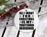 All I Want For Christmas Is My Transylvanian Hound - Circle Ornament