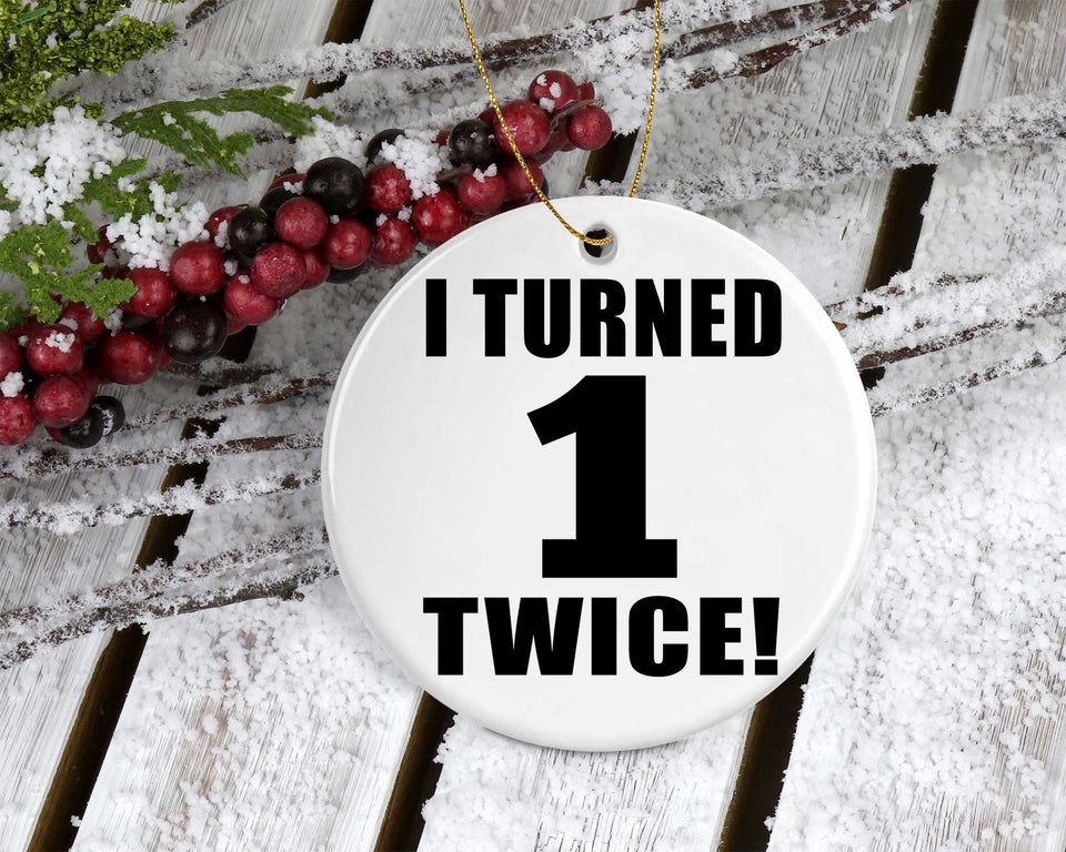 2nd Birthday I Turned 1 Twice - Circle Ornament