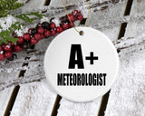 A+ Meteorologist - Circle Ornament