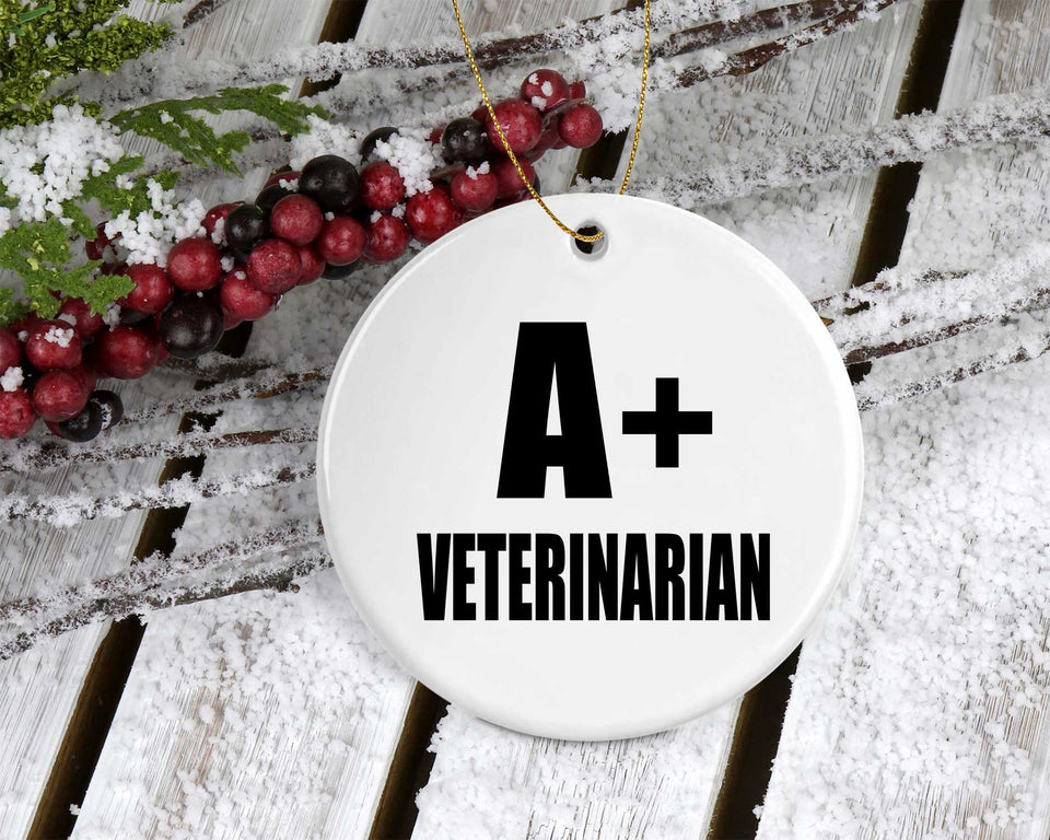 A+ Veterinarian - Circle Ornament