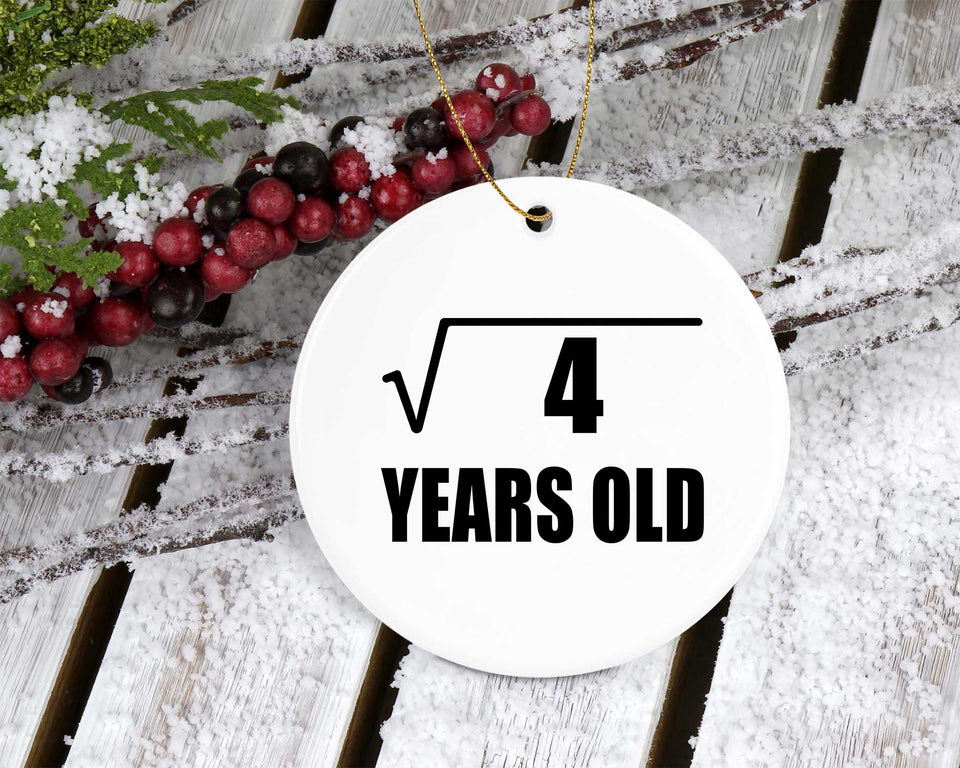 2nd Birthday Square Root of 4 Years Old - Circle Ornament