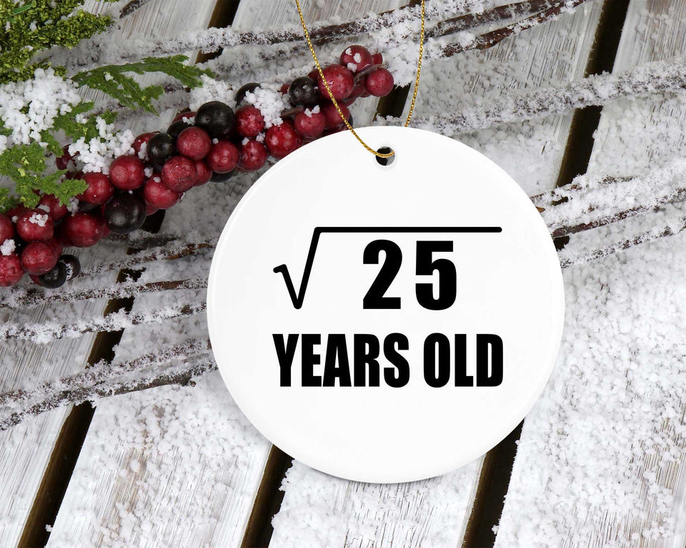 5th Birthday Square Root of 25 Years Old - Circle Ornament