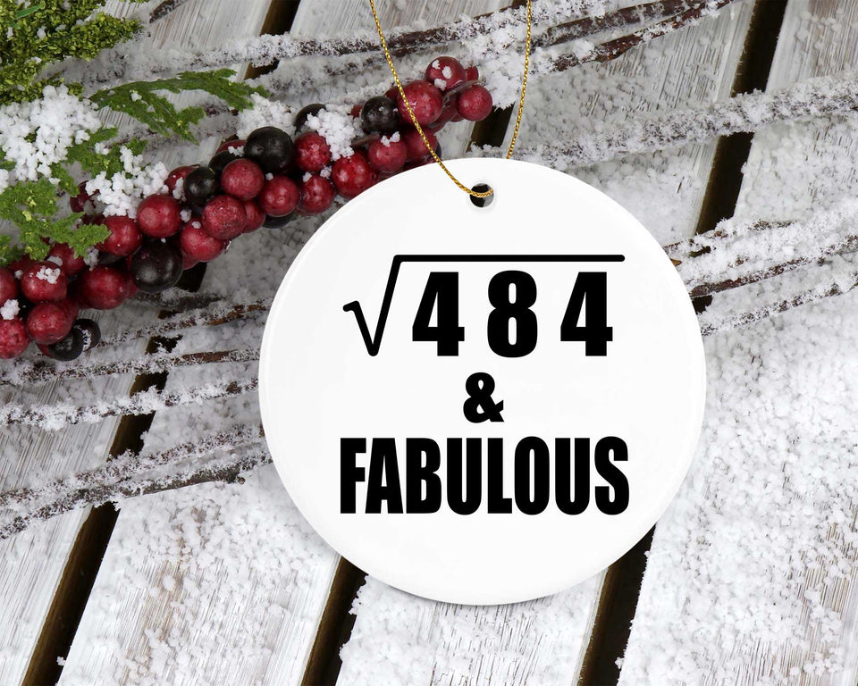 22nd Birthday Square Root of 484 & Fabulous - Circle Ornament