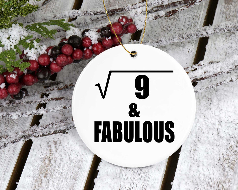 3rd Birthday Square Root of 9 & Fabulous - Circle Ornament