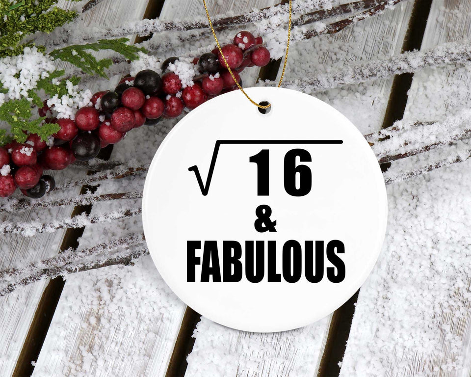 4th Birthday Square Root of 16 & Fabulous - Circle Ornament