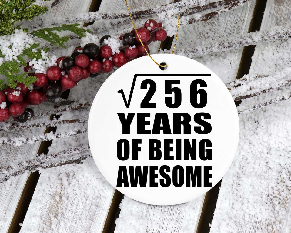 16th Birthday Square Root of 256 Years of Being Awesome - Circle Ornament
