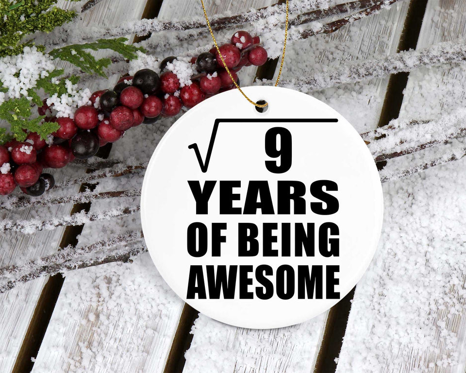 3rd Birthday Square Root of 9 Years of Being Awesome - Circle Ornament