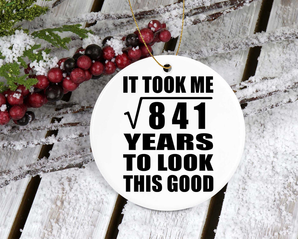 29th Birthday Took Square Root of 841 Years To Look Good - Circle Ornament
