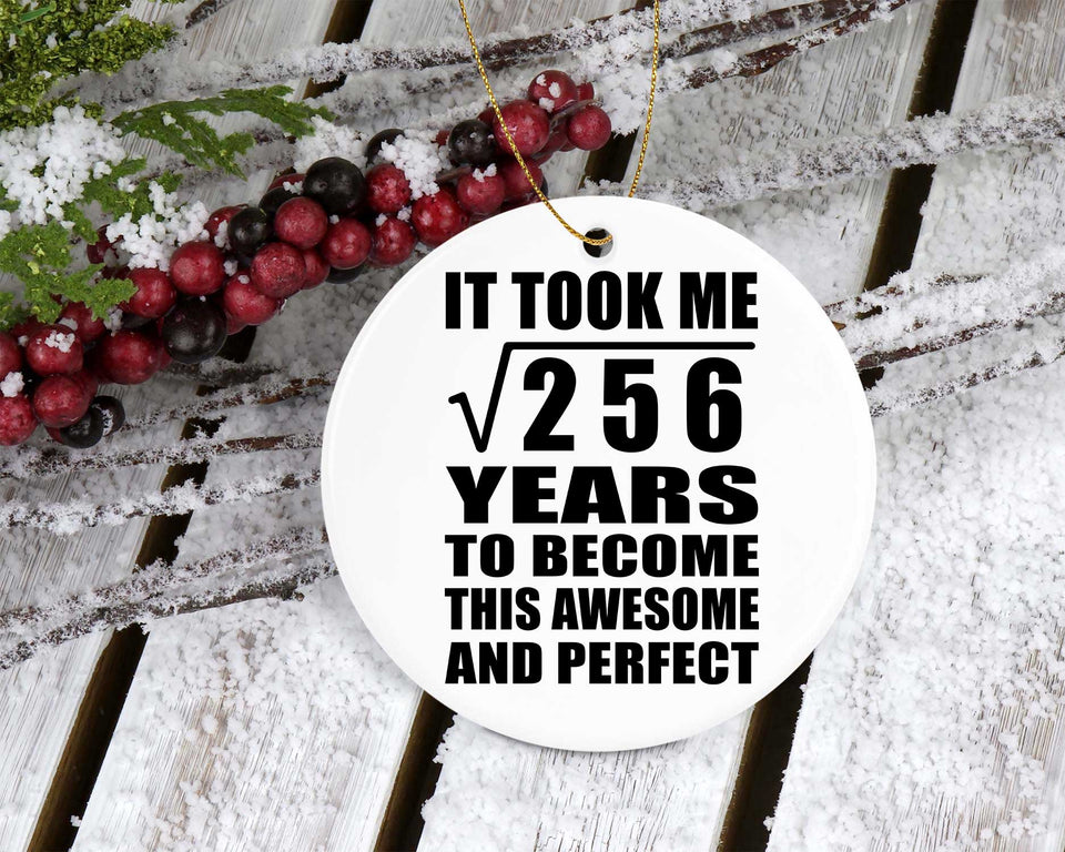 16th Birthday Took Square Root of 256 Years To Awesome - Circle Ornament