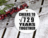 27th Anniversary Cheers To Square Root of 729 Years Together - Circle Ornament