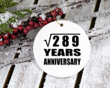 17th Anniversary Square Root of 289 Years Anniversary - Circle Ornament