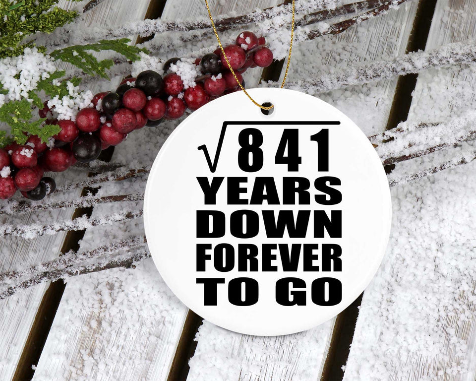 29th Anniversary Square Root of 841 Years Down Forever To Go - Circle Ornament