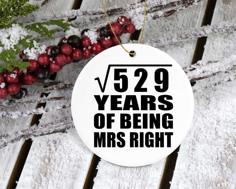 23rd Anniversary Square Root of 529 Years of Being Mrs Right - Circle Ornament