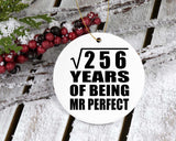16th Anniversary Square Root of 256 Years of Mr Perfect - Circle Ornament