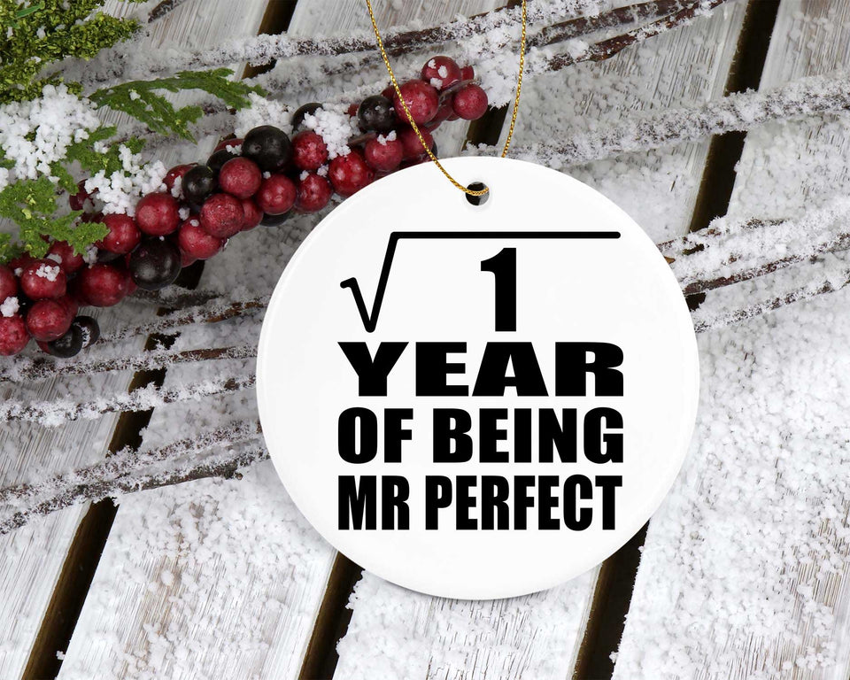 1st Anniversary Square Root of 1 Year of Mr Perfect - Circle Ornament