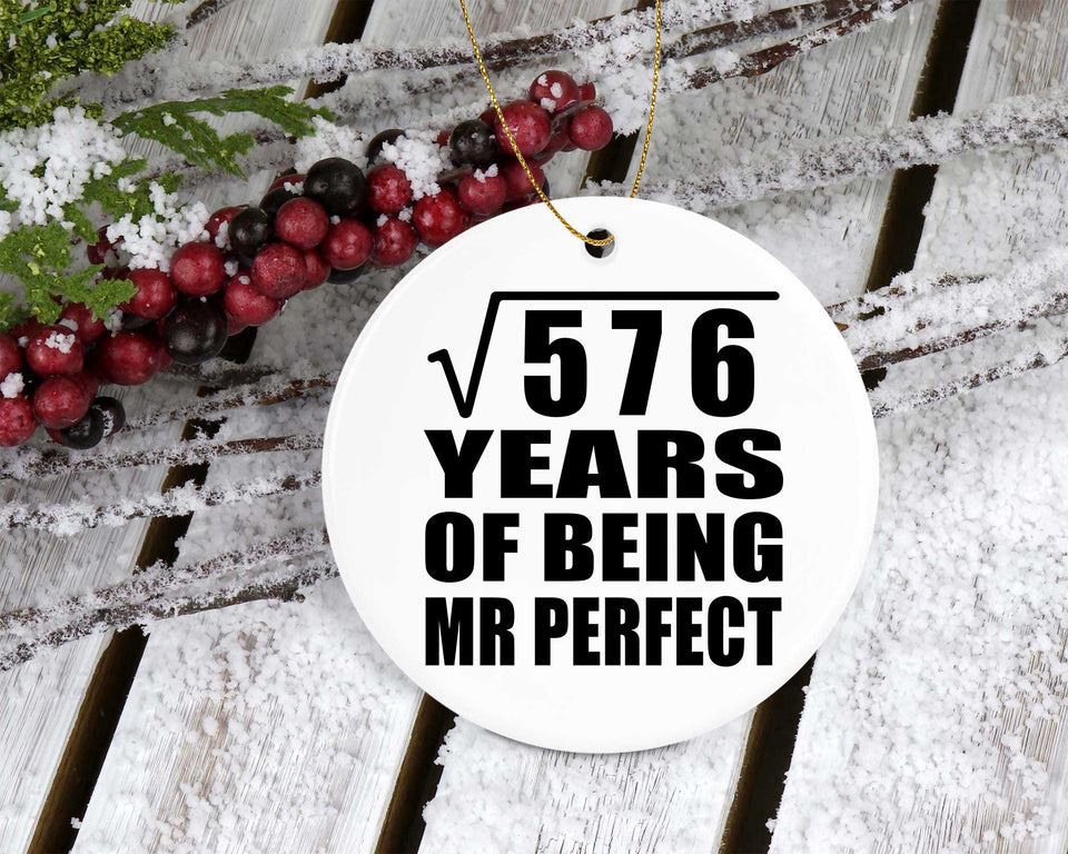 24th Anniversary Square Root of 576 Years of Mr Perfect - Circle Ornament