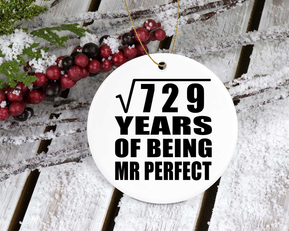 27th Anniversary Square Root of 729 Years of Mr Perfect - Circle Ornament