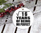 4th Anniversary Square Root of 16 Years of Mr Perfect - Circle Ornament