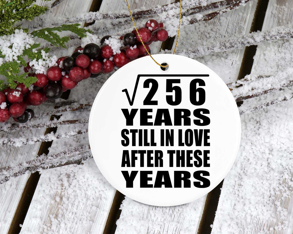 16th Anniversary Square Root of 256 Years Still In Love - Circle Ornament